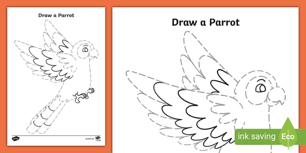 Simple Parrot Drawing – Meghnaunni.com