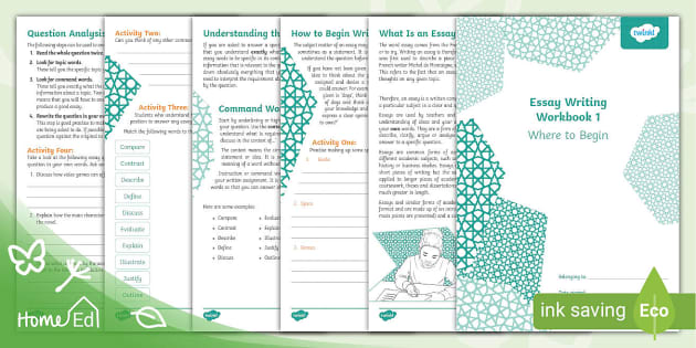 essay writing skills book pdf