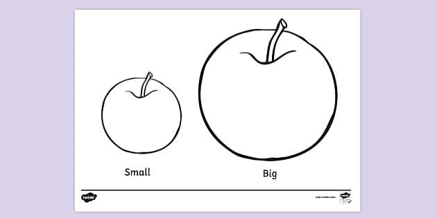 concept of big and small worksheets