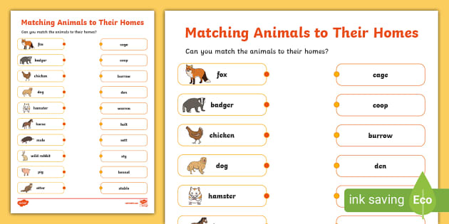 Matching Animals to Their Homes Activity Sheet - Twinkl