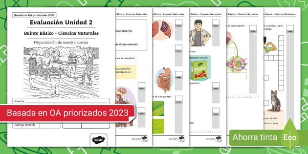 Evaluación 5º Básico Unidad 2 Ciencias Naturales 7018