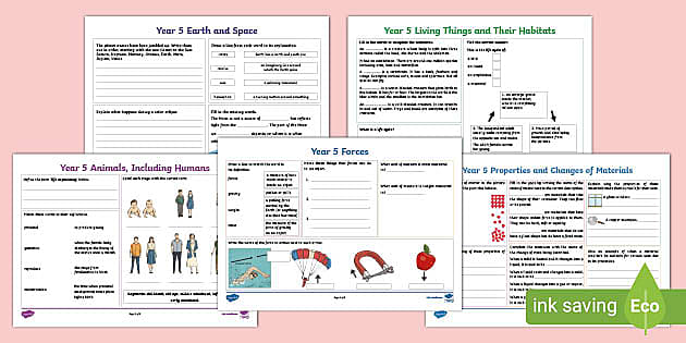 science homework year 5