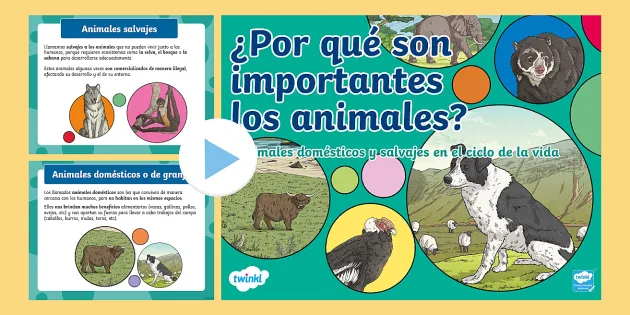 ciclo de vida de los animales para niños