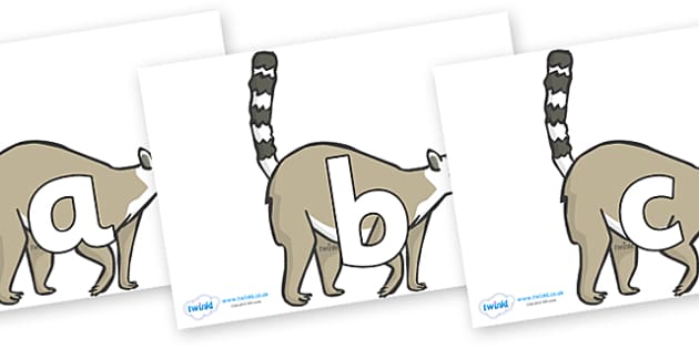 FREE! - Phoneme Set on Raccoons (teacher made) - Twinkl