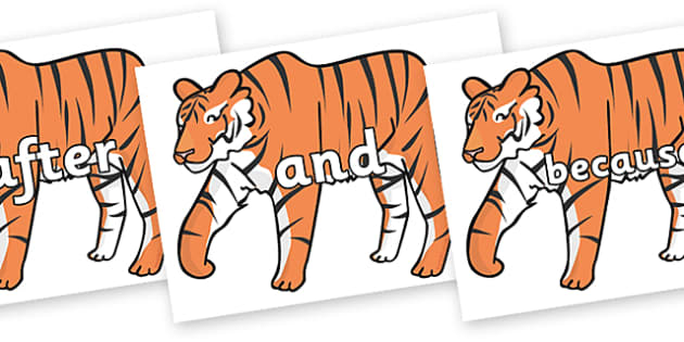 FREE! - Connectives on Chinese New Year Tiger (teacher made)