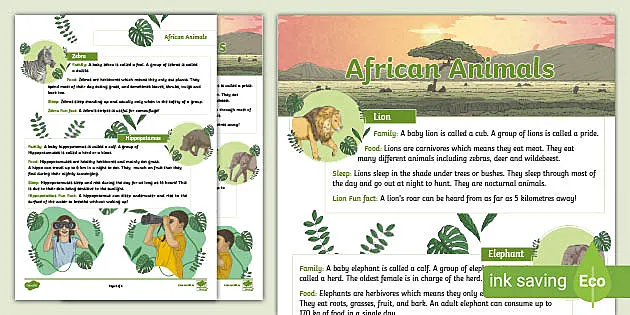 Animals from African Countries Fact File | Twinkl Resources