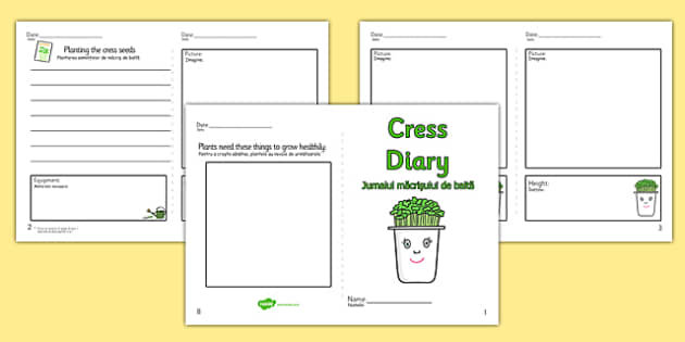 Growing Cress Diary Writing Frame Romanian Translation