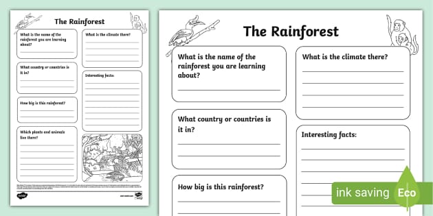 Rainforest Fact File Template (teacher made) Twinkl