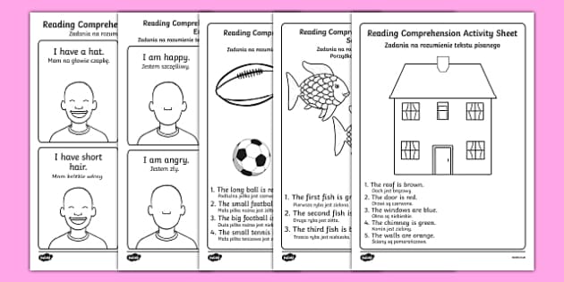 Reading Comprehension Worksheet / Worksheets English/Polish