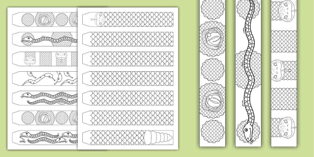 Snake Colouring Paper Chains (Teacher-Made) - Twinkl