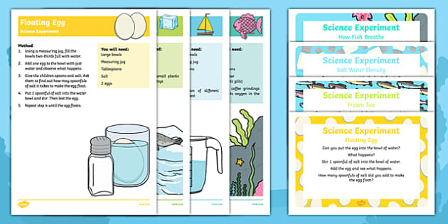 Seaside Experiments Early Years - EYFS Science - Twinkl