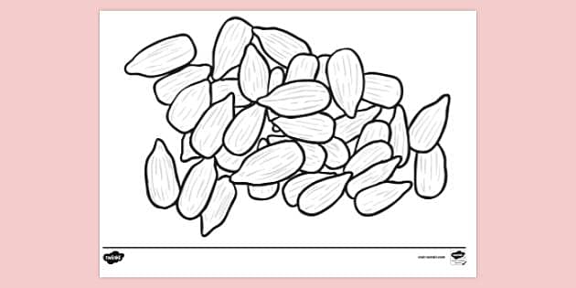 FREE! - Seeds Colouring Sheet | Colouring Sheets - Twinkl