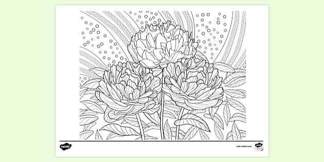 Peony Colouring Page | Colouring Sheets (Teacher-Made)