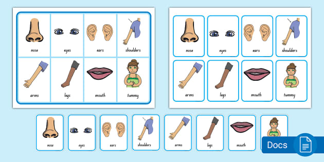 Body Game - Matching Cards and Board in Te Reo Māori