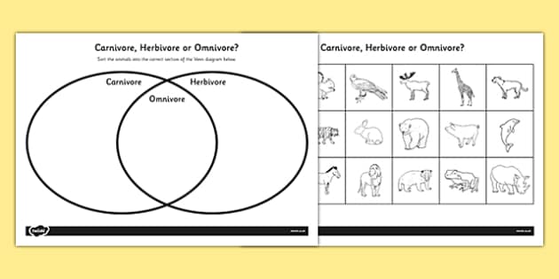 Venn Diagram Worksheet KS1 Omnivore Carnivore Or Herbivore Venn Diagram