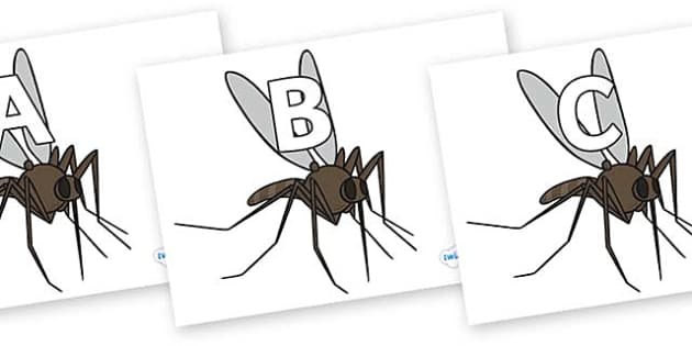 FREE! - A-Z Alphabet on Mosquitos (Hecho por educadores)