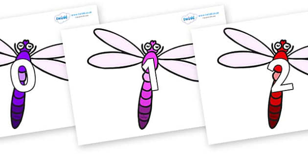 Numbers 0-100 on Dragonflies (teacher made) - Twinkl