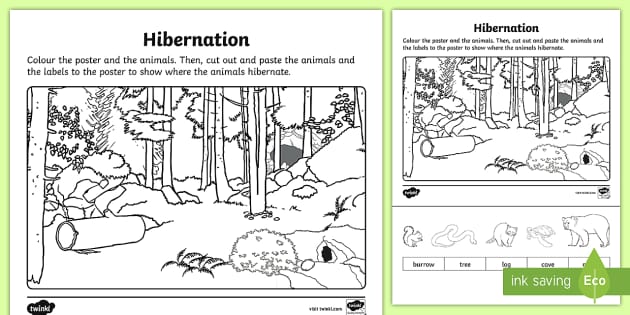 Hibernation Cut and Color Worksheet (Teacher-Made) - Twinkl