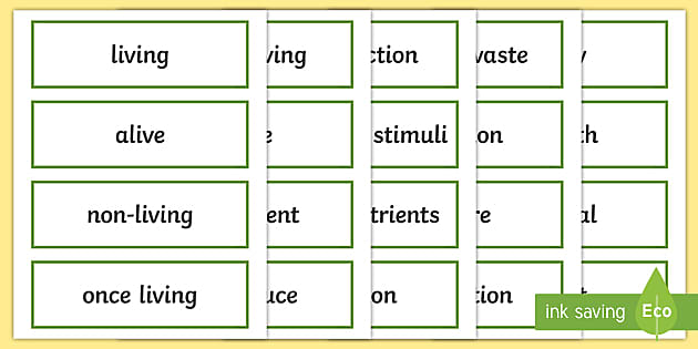 Household Objects Quiz Cards - ESL House Vocabulary - Twinkl