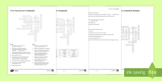 KS3 Plant Reproduction Crossword