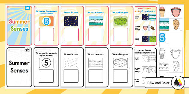 Summer Senses Adapted Reader (teacher made) - Twinkl