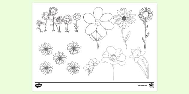Free Vector | Hand drawn flower collection illustration