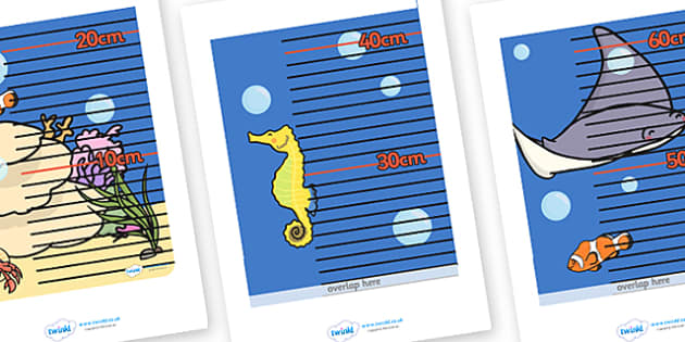 Giraffe Height Chart (teacher made) - Twinkl