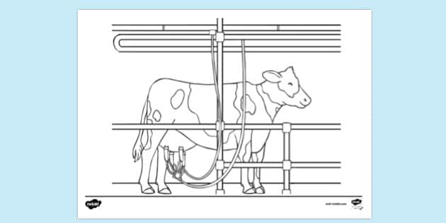 milking cow coloring