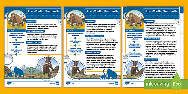 All About The Woolly Mammoth Fact File (teacher made)