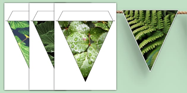 Leaf Photo Display Bunting - KS1 (Teacher-Made) - Twinkl