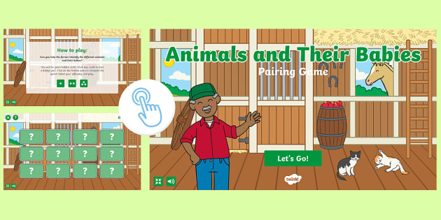 Animal Games - Pairing Activity - Twinkl Go! (teacher made)