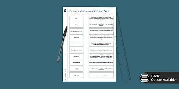 Parts of a Microscope Match and Draw | KS3 Science | Beyond