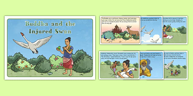 Buddha and the Injured Swan Story (teacher made) - Twinkl