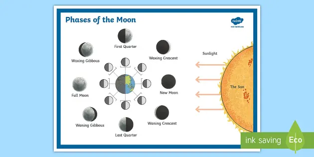 Moon Phases NEW EDUCATIONAL TEACHER CLASSROOM SCIENCE SPACE ASTRONOMY POSTER 
