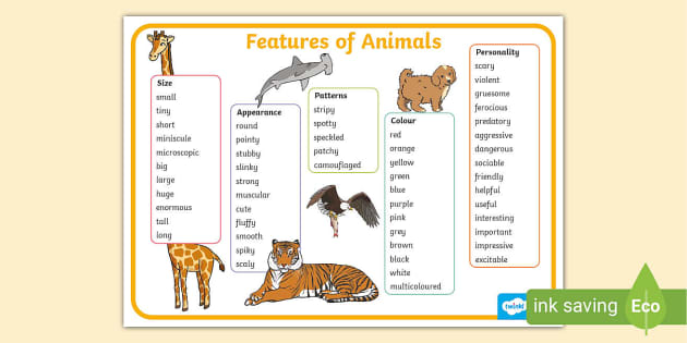Animal Adjectives Word Mat (teacher made) - Twinkl