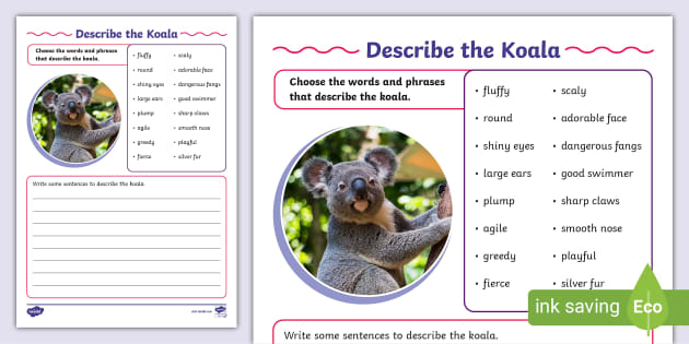 Describe the Koala Writing Activity Sheet (teacher made)