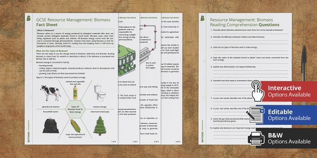 GCSE Resource Management Biomass Energy Comprehension