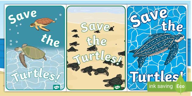 Save The Turtles Poster Profesor Hizo Twinkl