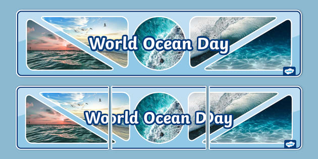 World Ocean Day Photo Display Banner (teacher Made) - Twinkl