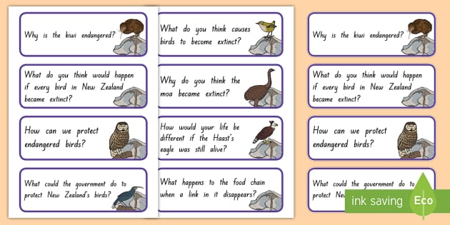 New Zealand Extinct Birds Question Prompt Cards Twinkl