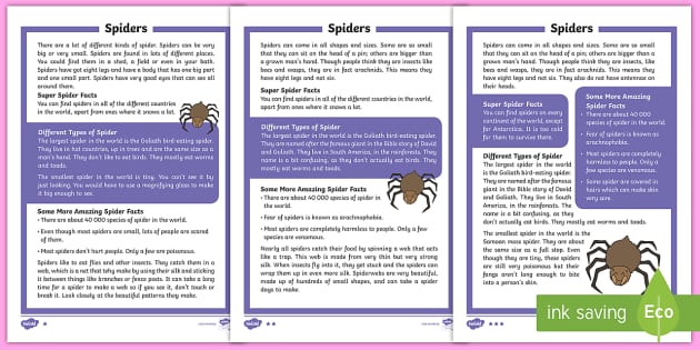 Spiders Differentiated Reading Comprehension Activity