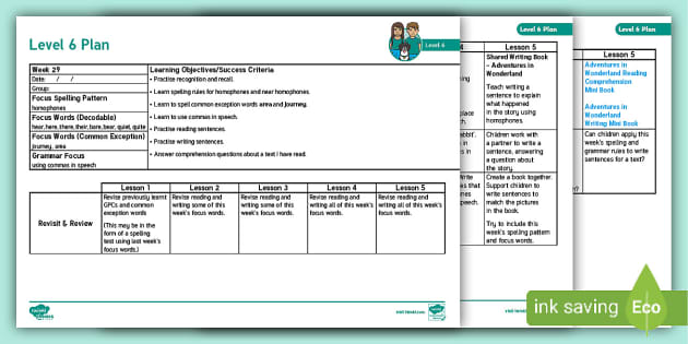 Homophones Lesson Plan - Level 6 Week 29 (teacher made)