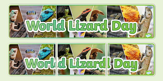 World Lizard Day Photo Display Banner (Lehrer gemacht)