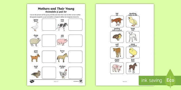 Mothers and Their Young: Baby Farm Animals Matching Activity