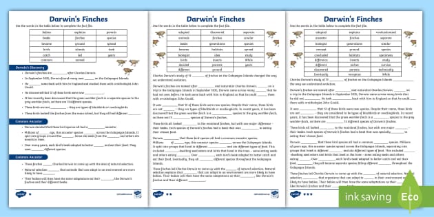 darwin-s-finches-differentiated-cloze-activity-sheets