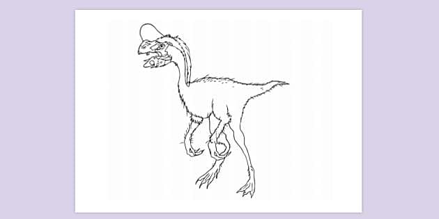 FREE! - Oviraptor Pollo del Infierno Colouring Sheet | Colouring Sheets