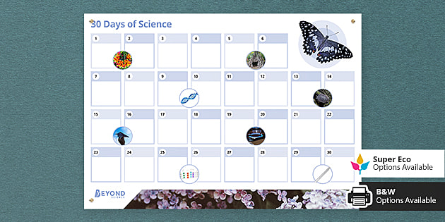 30 Days of Science Calendar | KS3 Science | Beyond - Twinkl