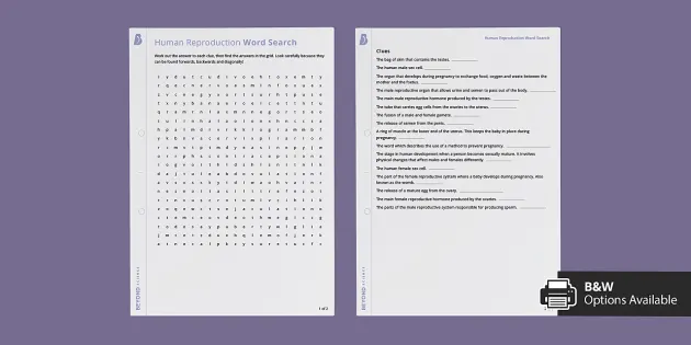 Reproduction: Human Reproduction Word Search | KS3 | Beyond