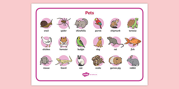 Pets mat on sale