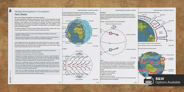 GCSE Global Atmospheric Circulation Fact Sheet | Beyond